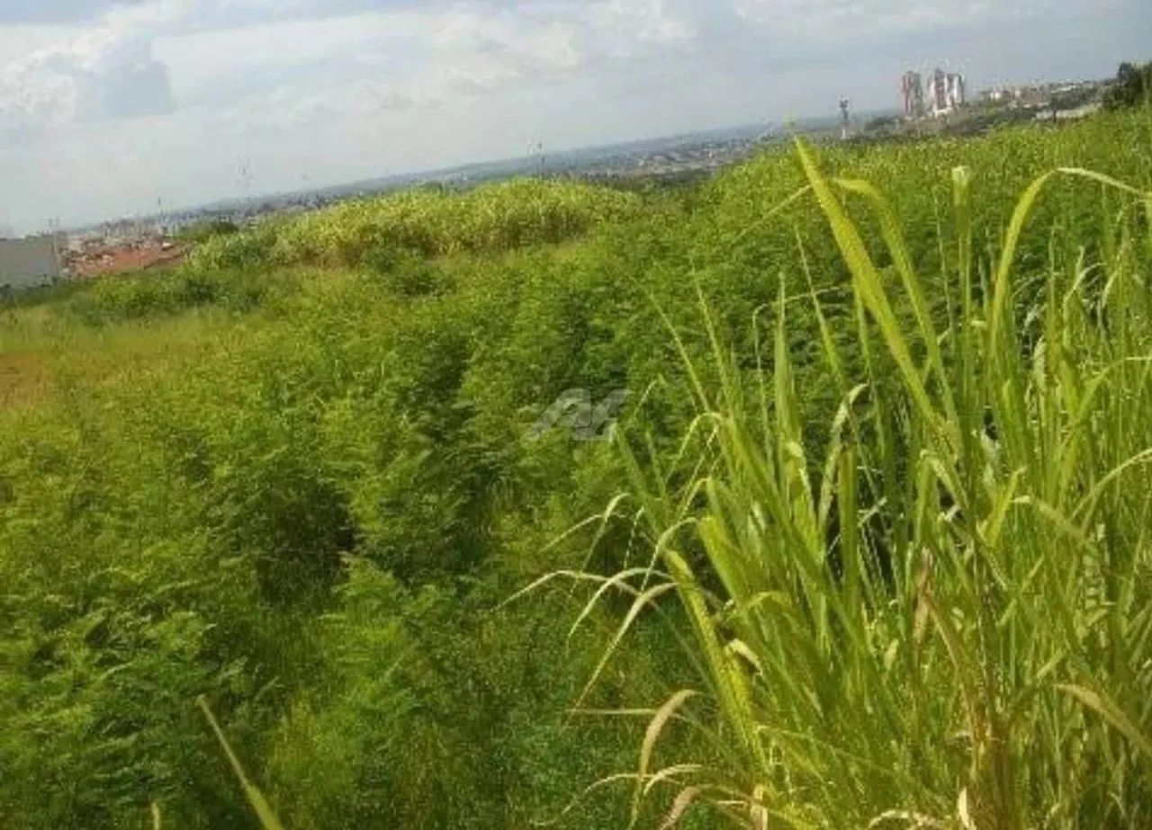 área - Parque Taquaral - Campinas - Foto 7