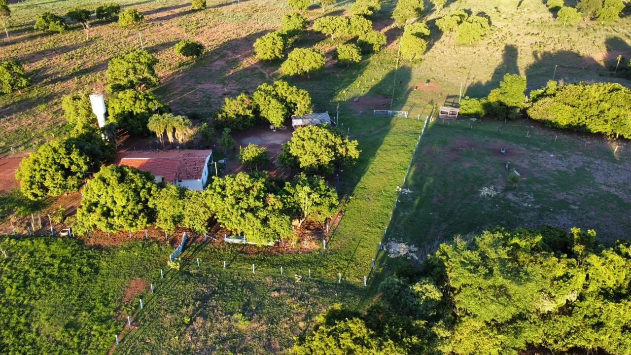 FAZENDA 108 ALQUEIRES TODA PRONTA