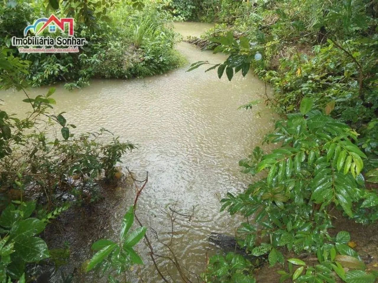 fazenda em Pium, uma joia - Foto 2