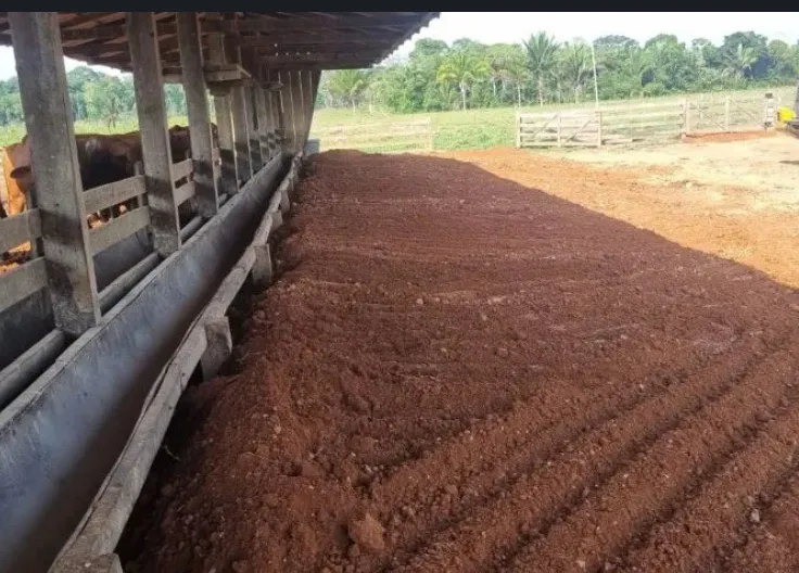 *OPORTUNIDADE PARA INVESTIDORES - FAZ. ESTRUTURADA NA BEIRA DA BR 364 - PORTO VELHO*