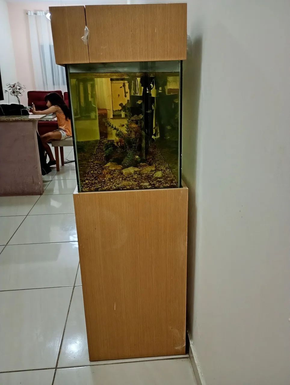 Aquário 360lt Completo 65581362326530121