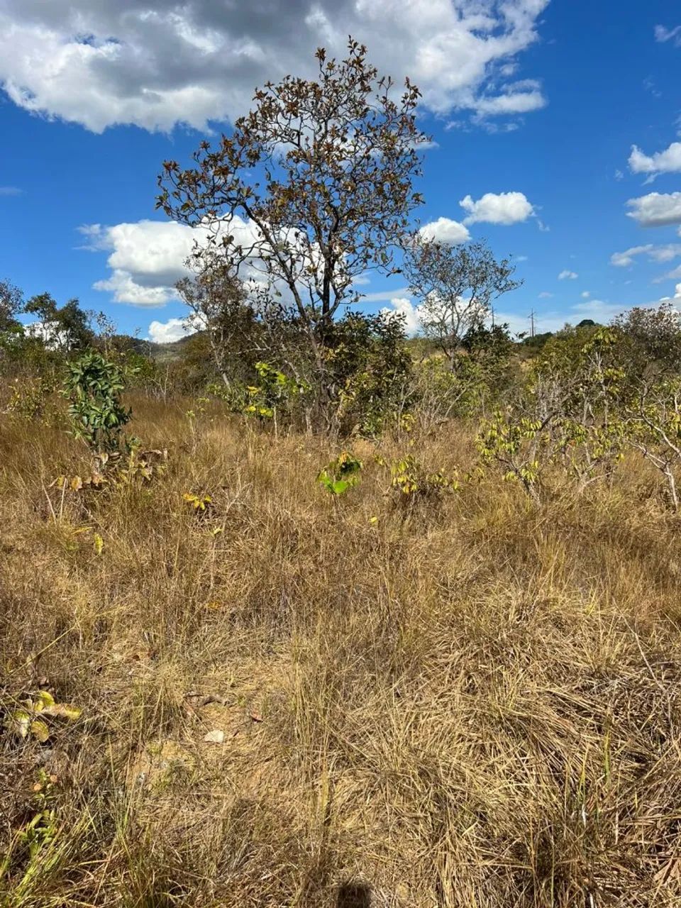 Mine Chácara próximo a JK - Foto 3