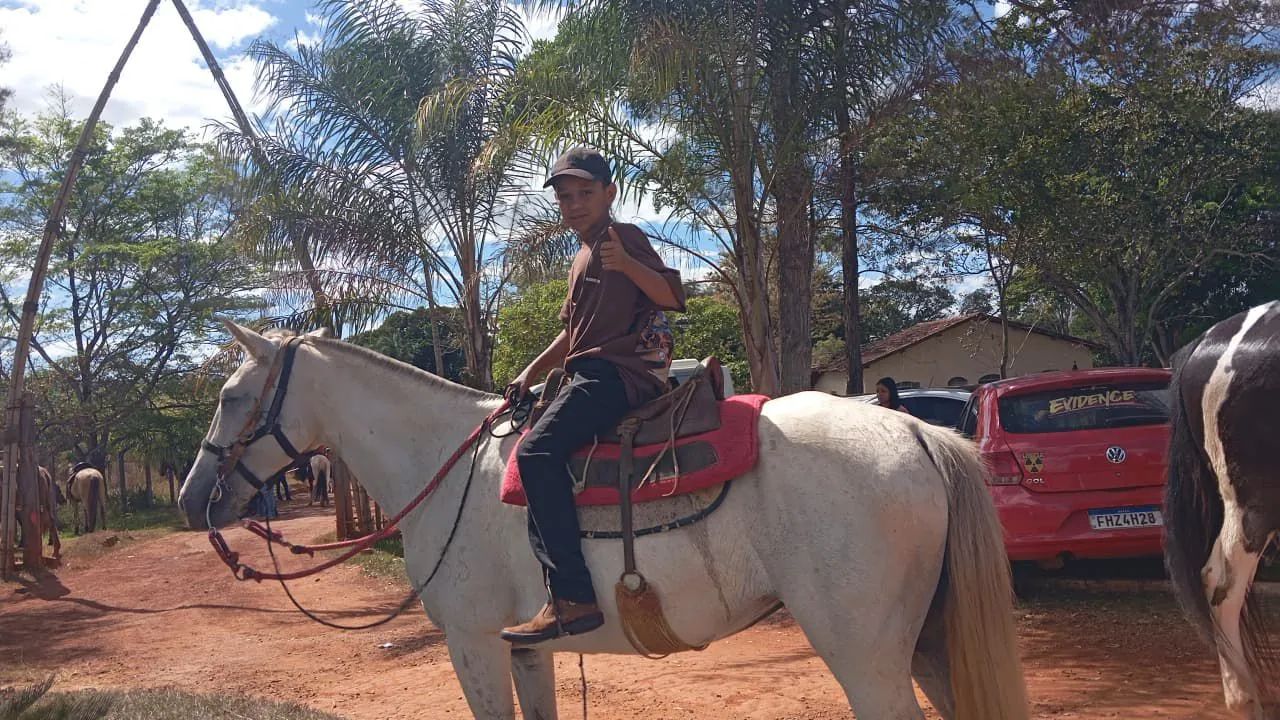 Vendendo égua 3mil. Whatsapp * - Foto 3