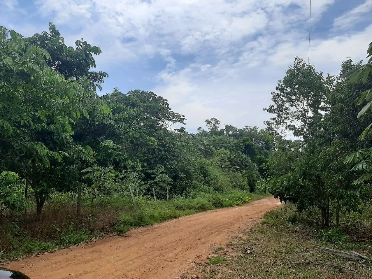 Foto - Manaus - Novo Aleixo