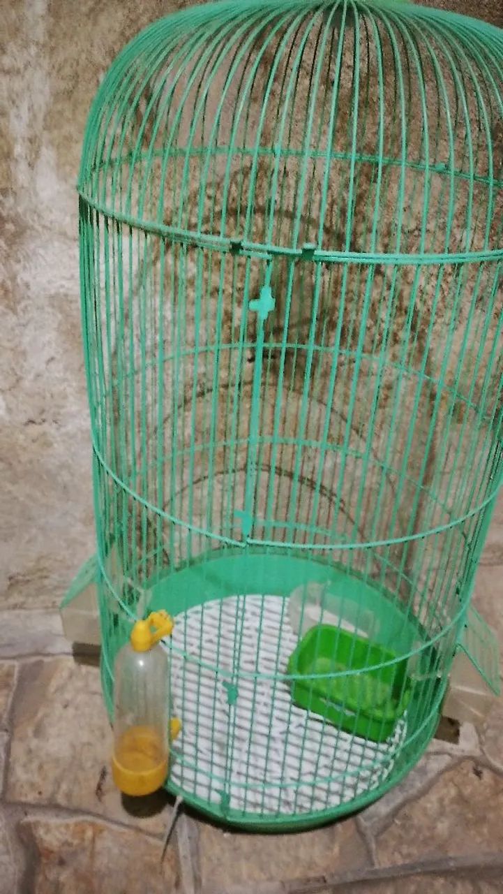 Gaiola de calopsita 