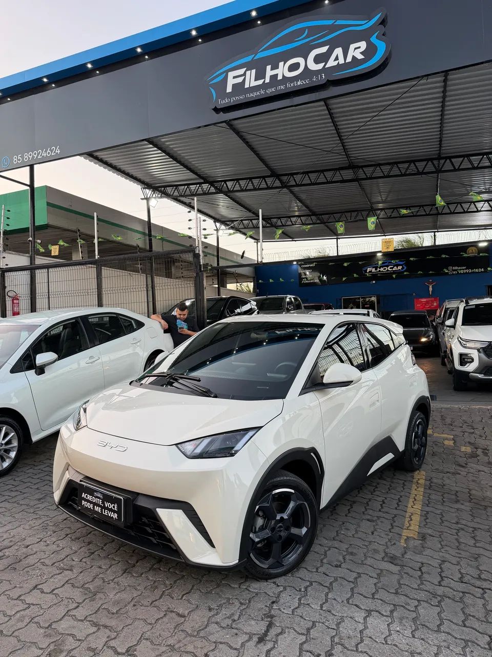 BYD Dolphin Mini (Elétrico) 2025
