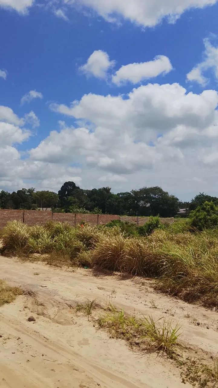 Vendo terreno 