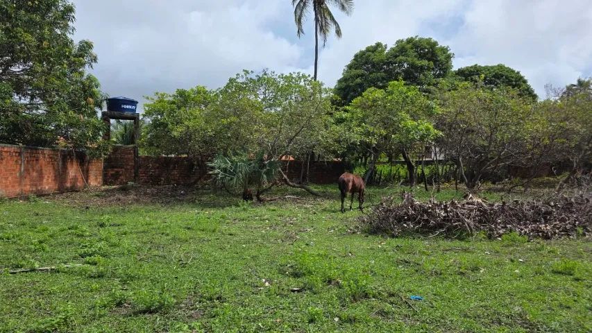 Terreno no centro de Santo Amaro, 2578 metros. - Foto 4