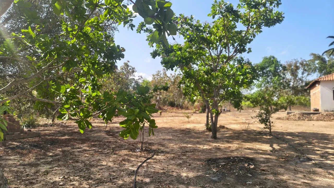 Sitio no povoado Itaguara, área rural de Timon  - Foto 3