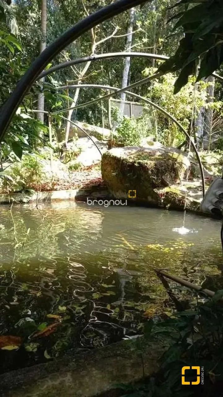 BROGNOLI VENDE - Sítio em rua tranquila na Vargem do Bom Jesus, Florianópolis/SC - Foto 4