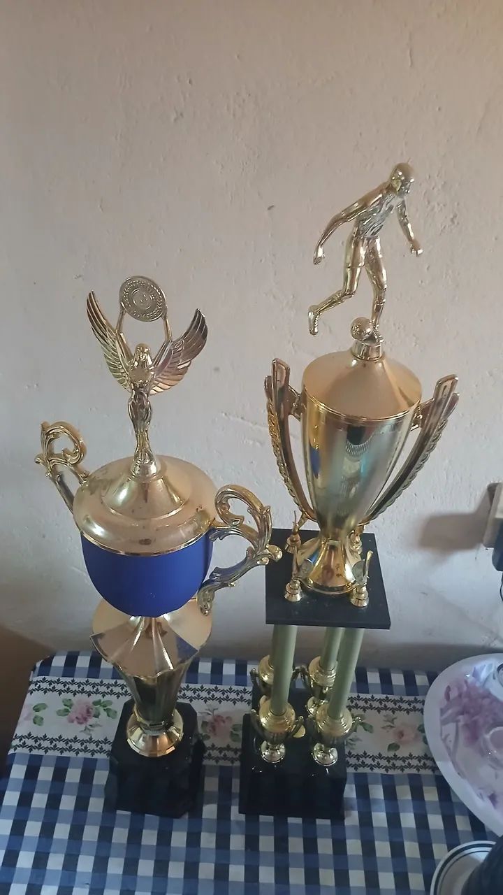 TROFÉU PARA CAMPEONATO  - Foto 2