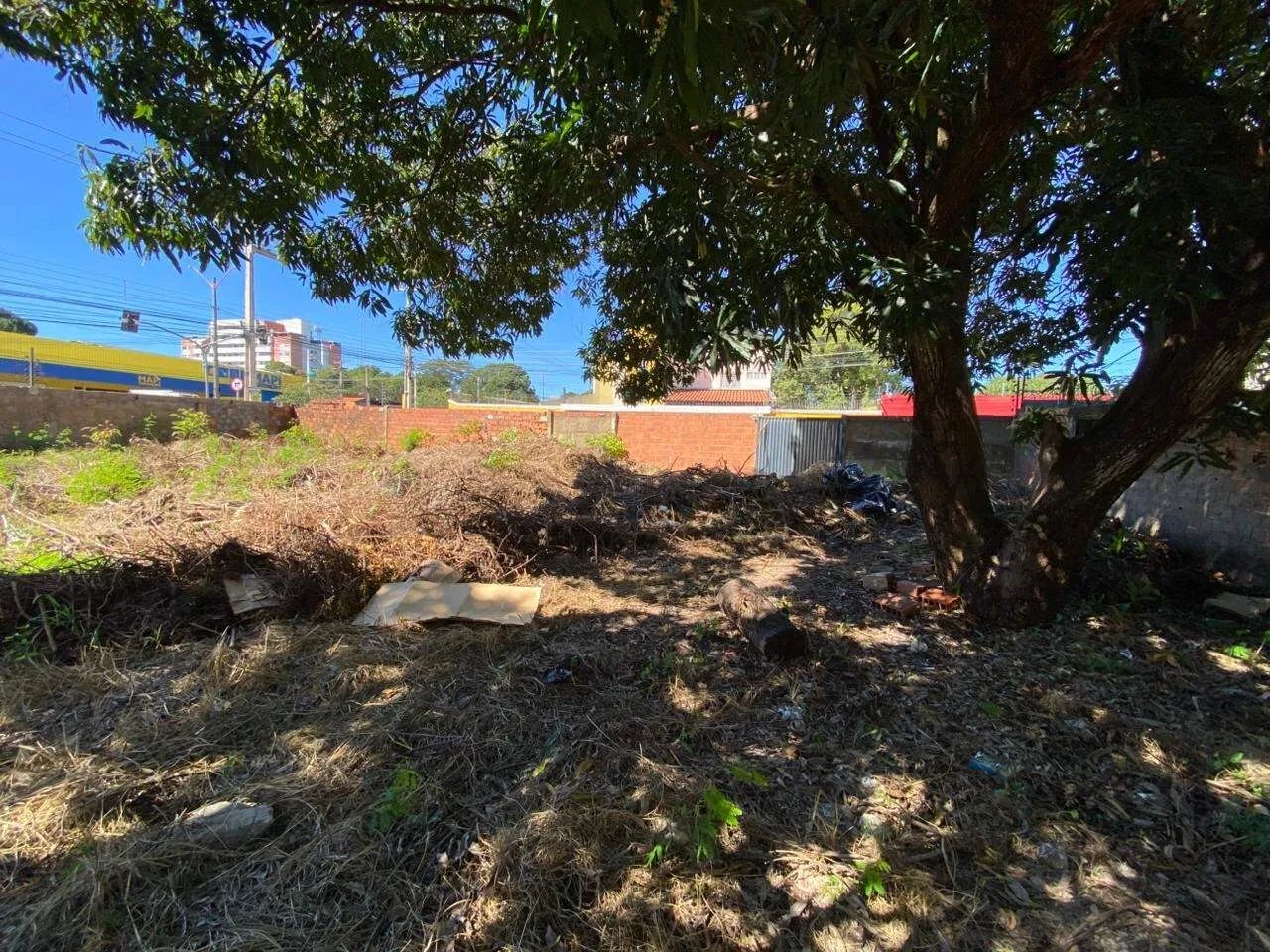 Terreno Para Aluguel - Foto 4