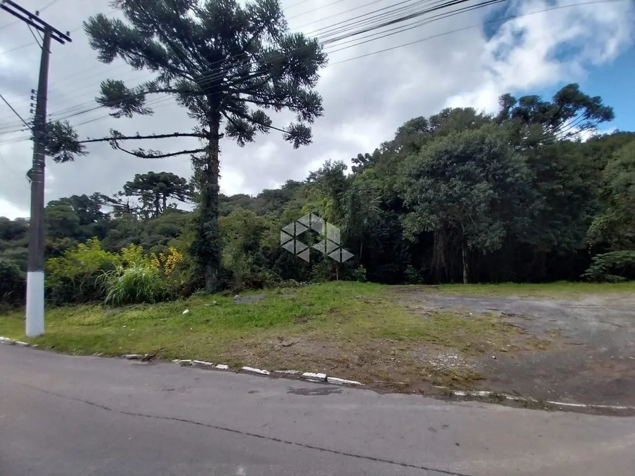 Terreno Plano - Foto 4