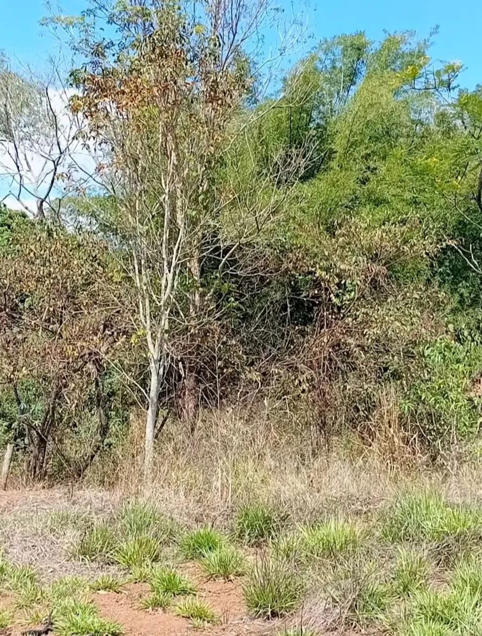Chacara lote para laser com rio no fundo 35 min.Goiania de carro  . - Foto 4