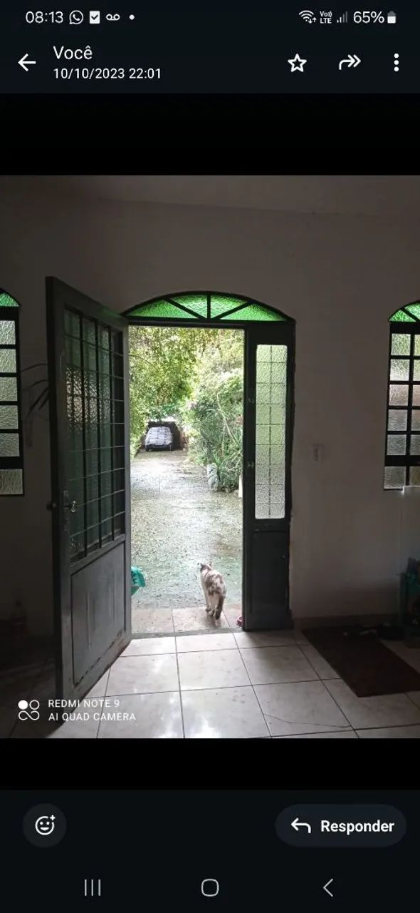 Rua Monteiro Lobato 