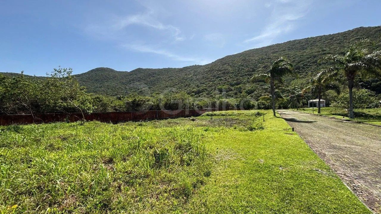 Terreno com 401m² no Bairro Pântano do sul - Foto 5