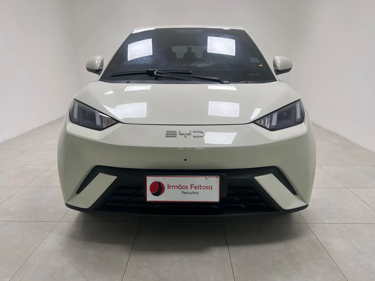 BYD Dolphin GS (Elétrico) 2025 - Foto 2