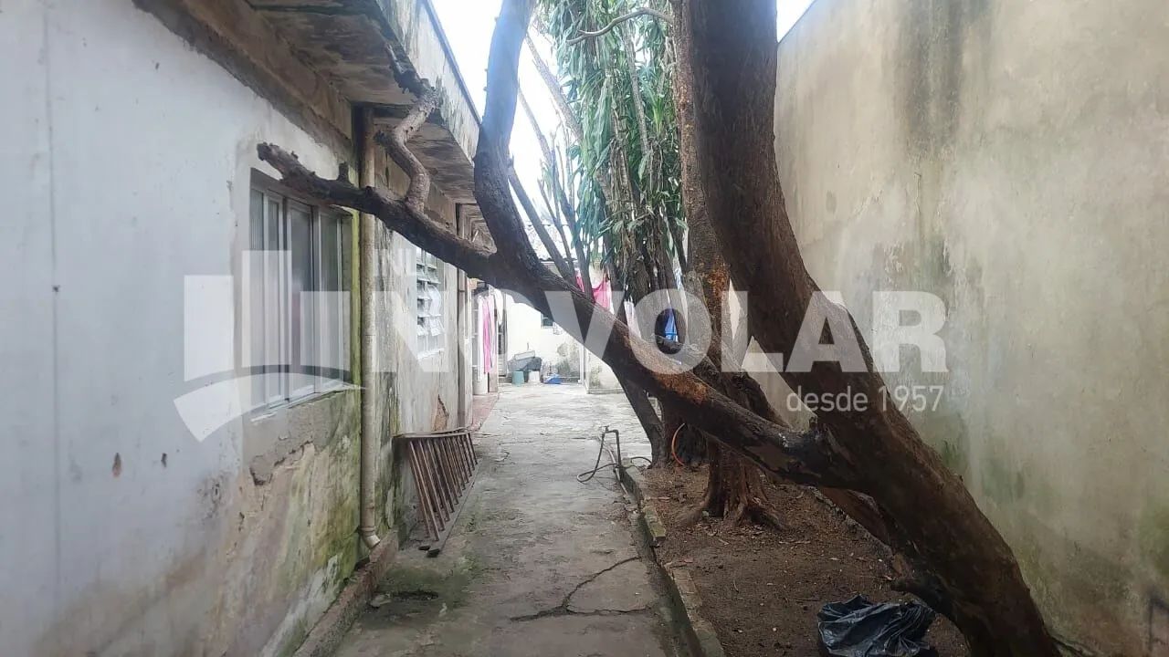 Terreno, Vila Gustavo