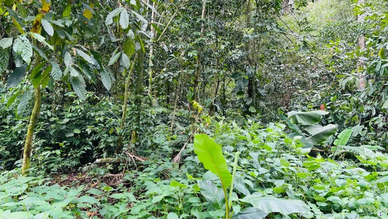 terreno a venda dentro loteamento - Foto 5