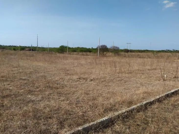 Terreno Loteamento em Presidente Costa e Silva - Mossoró - Foto 2