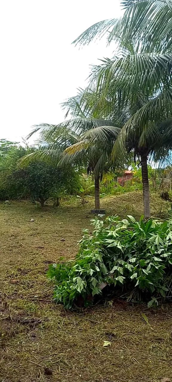 Terreno no nova vida 27x22  - Foto 4