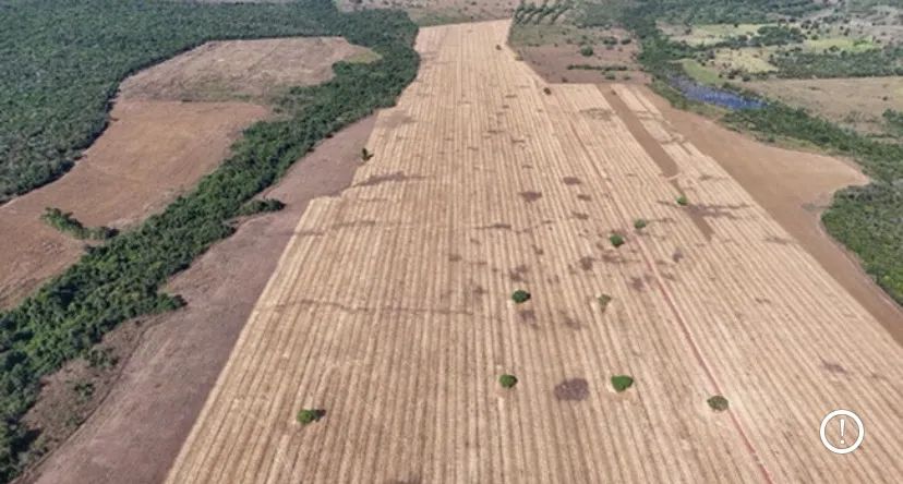 Fazenda de 434 alqueires em Divinópolis - Vale do Araguaia Tocantins - Foto 5