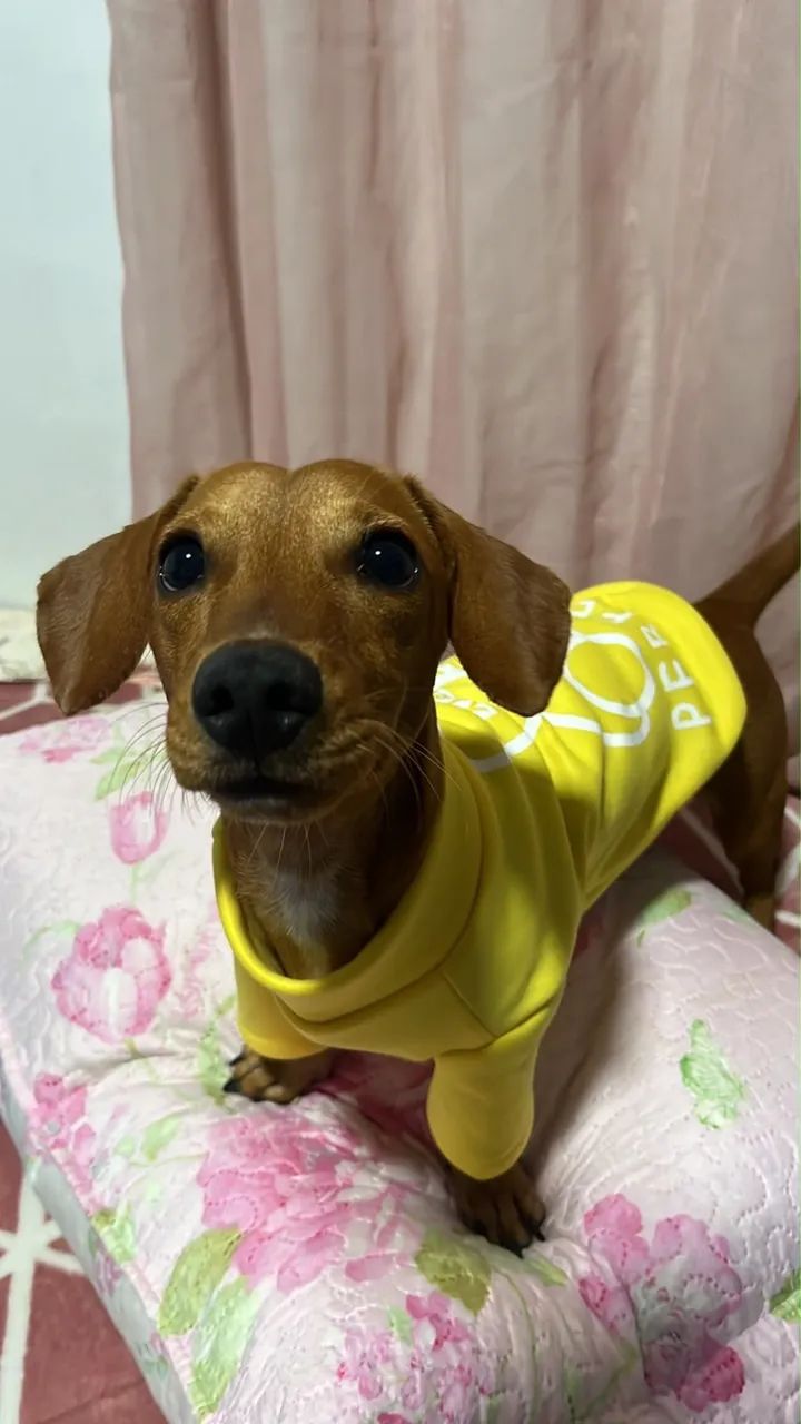 PROCURANDO UMA NAMORADA