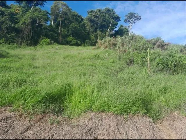 7 hectares escriturado abaixou 330 mil - Foto 3