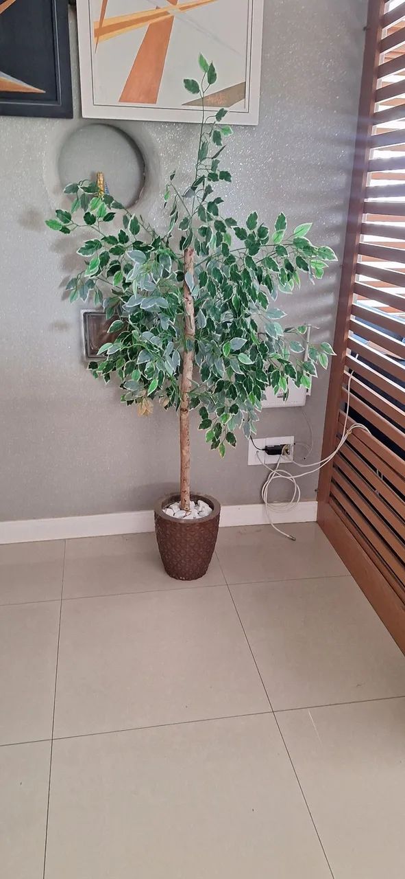 Planta decorativa - Foto 3