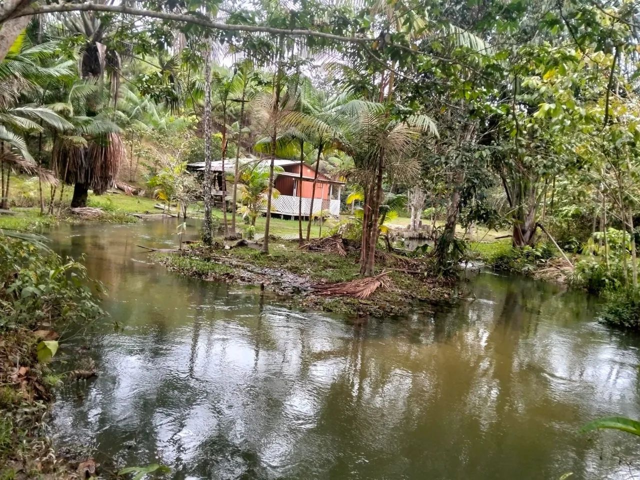 Sítio com rio e árvores frutificação  - Foto 2