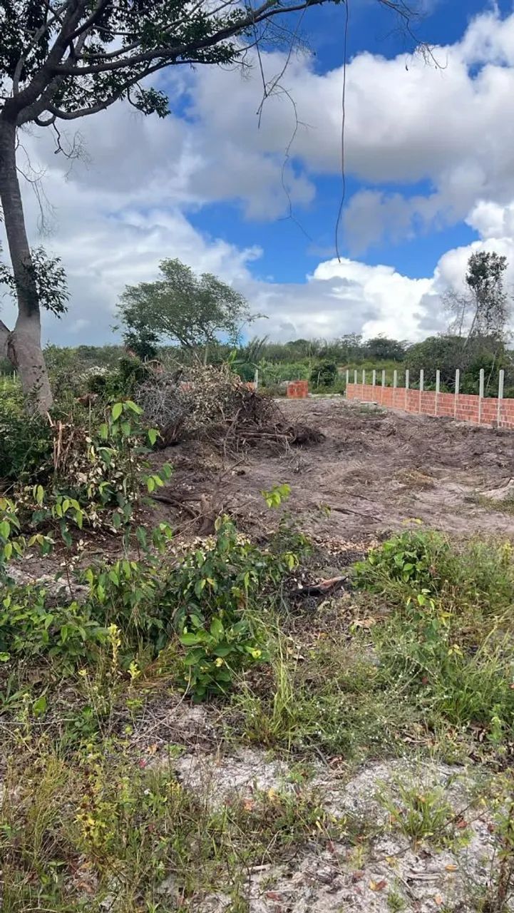 TERRENO EM SANTO AMARO - Foto 4
