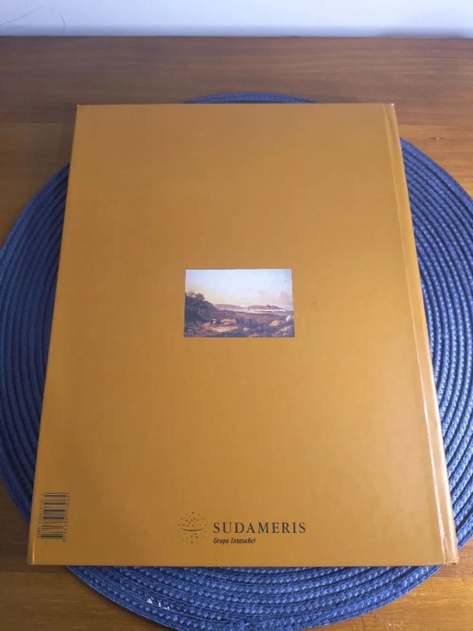 O Brasil na Visão do Artista - Frederico Morais | Artes - Foto 3