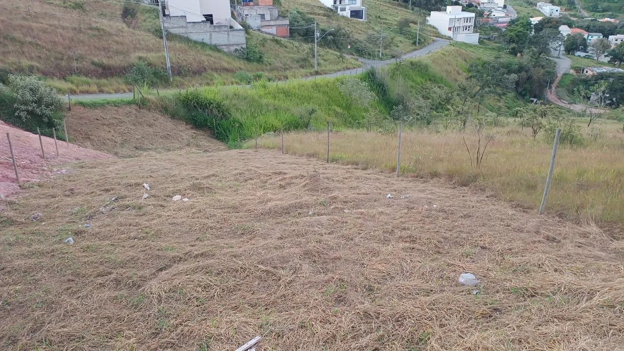 Lote - Foto 4