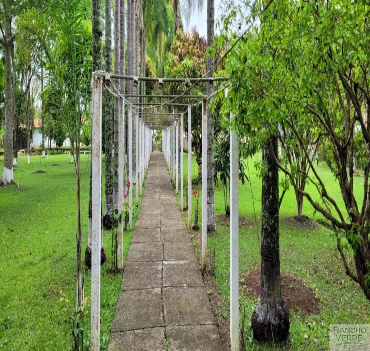 CHÁCARA RURAL em CUNHA - SP, RURAL - Foto 3