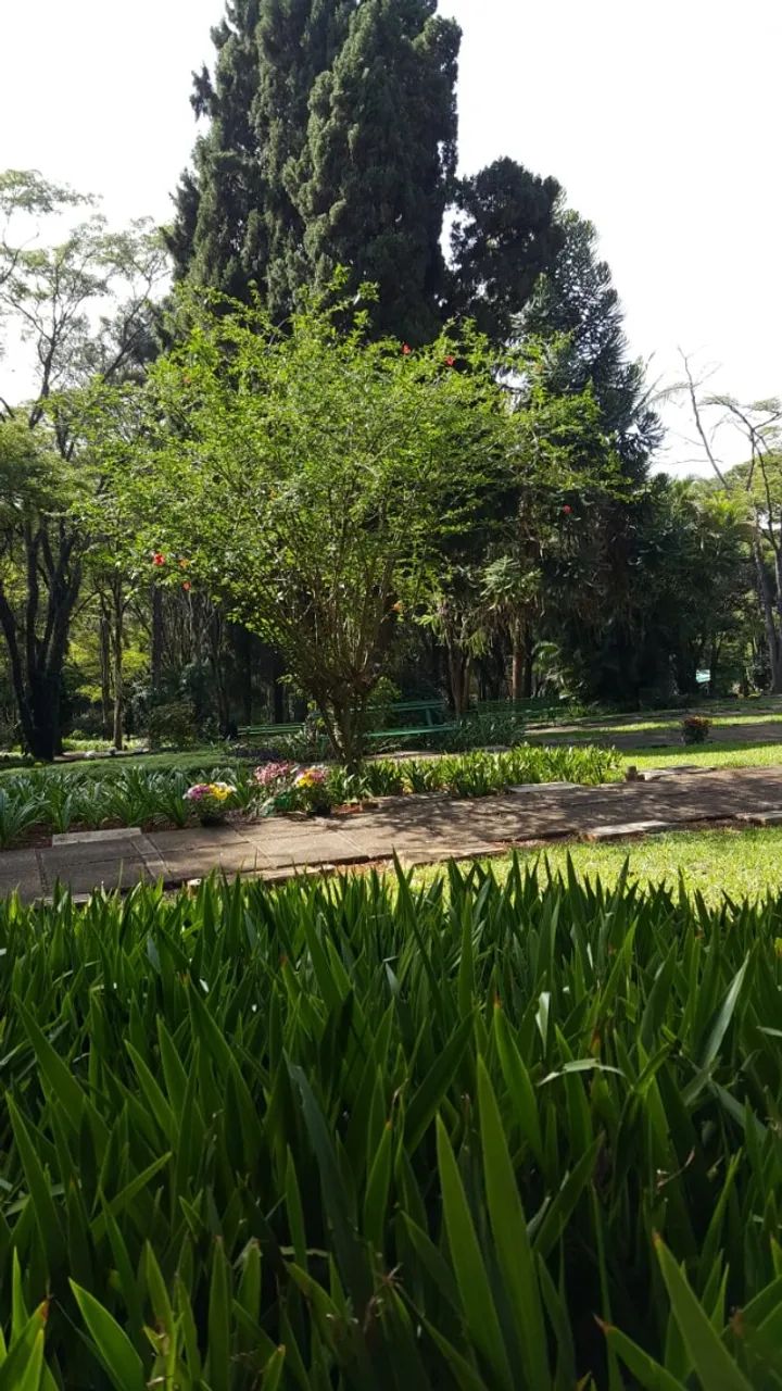 Jazigo no Cemiterio da Paz Morumbi 