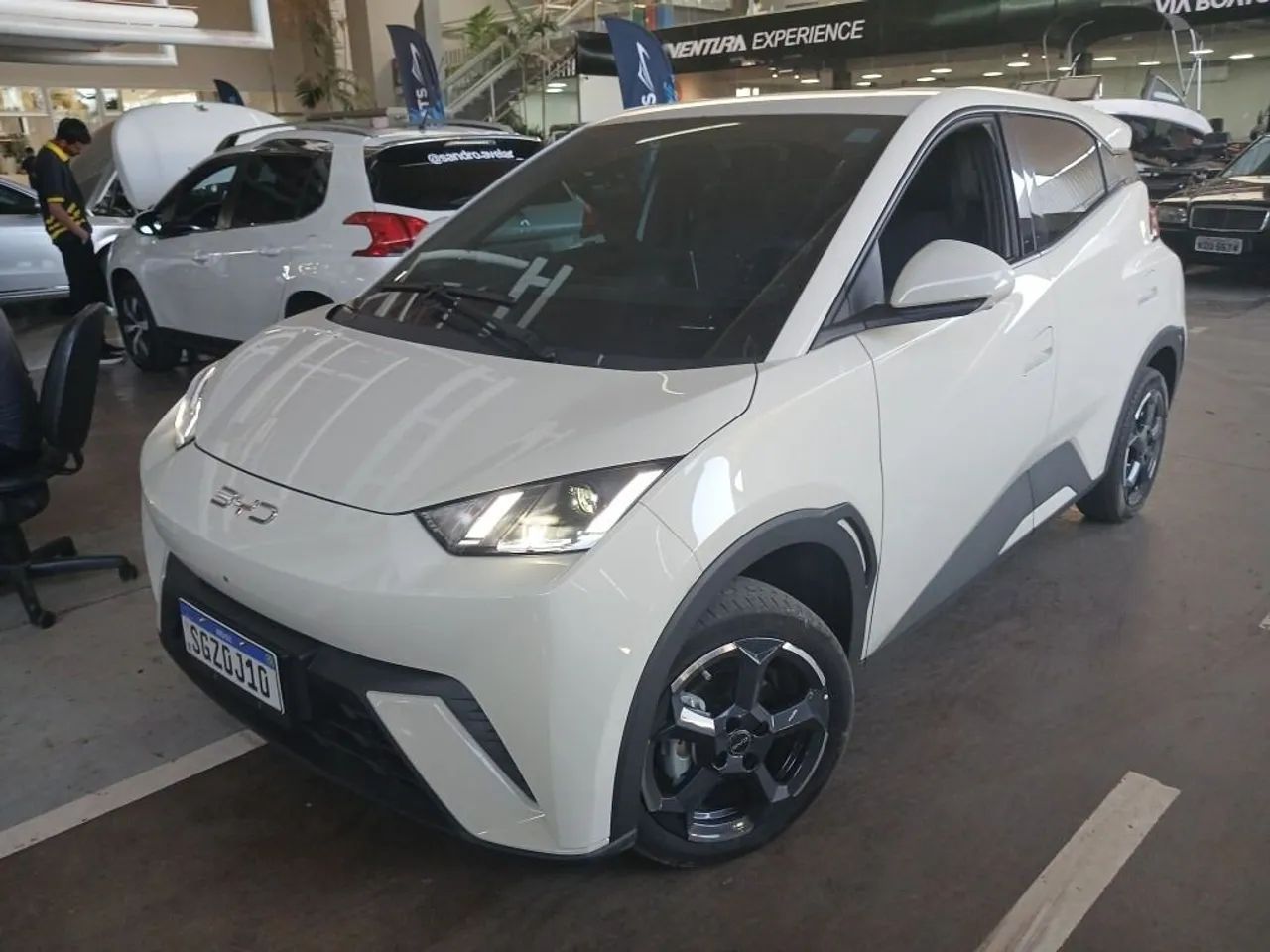BYD Dolphin Mini (Elétrico) 2027