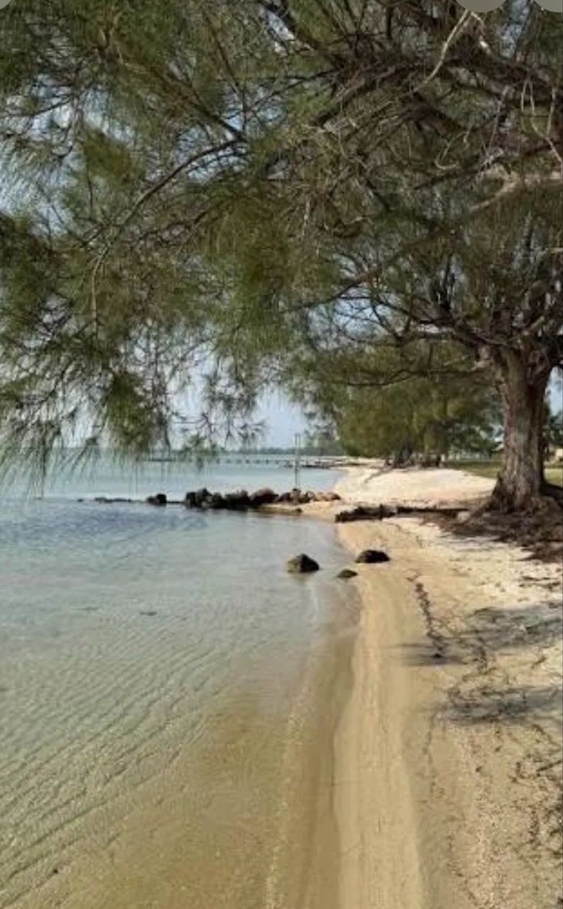 Terreno no condomínio 
