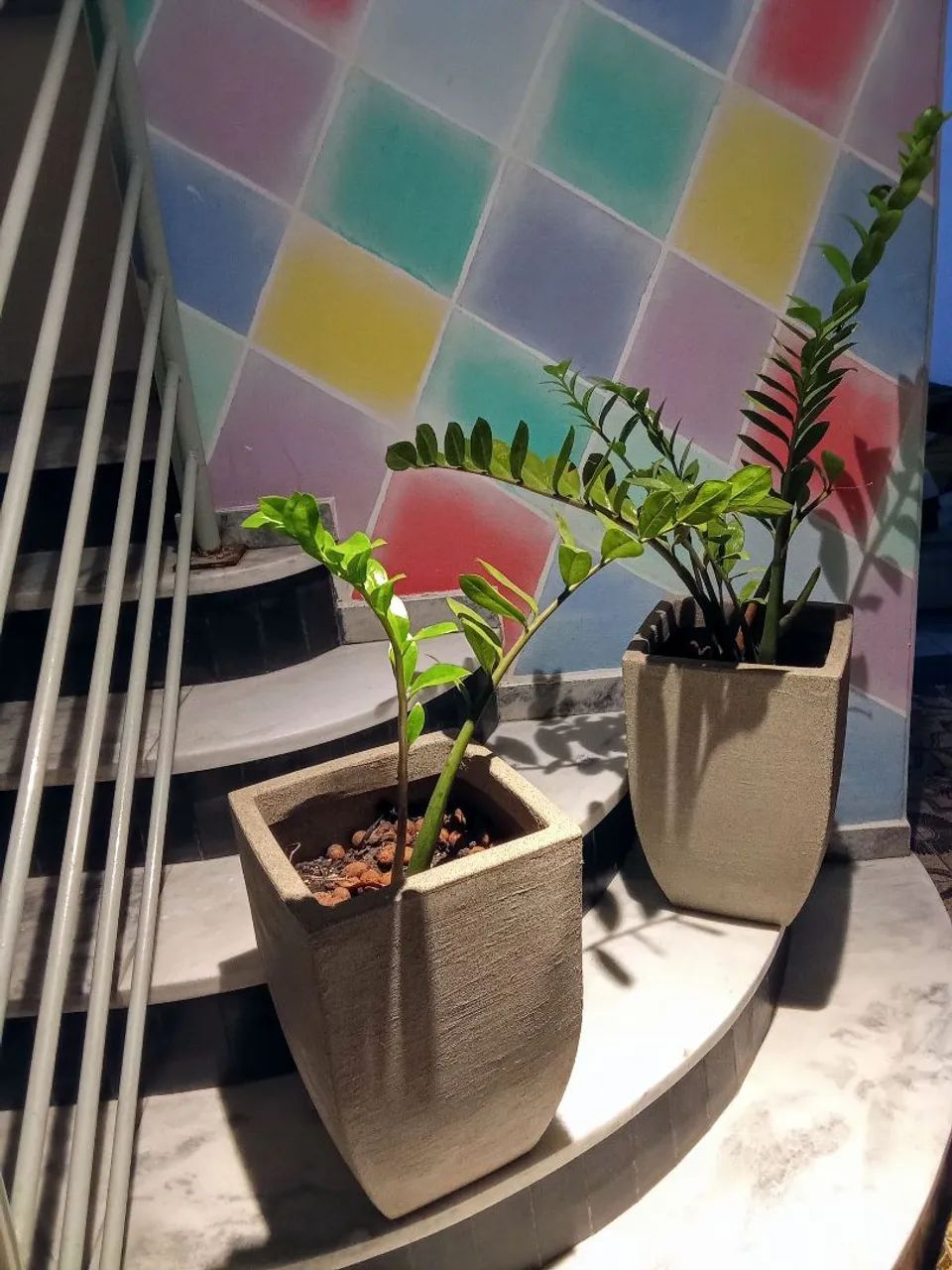 Recepçionista - Foto 3