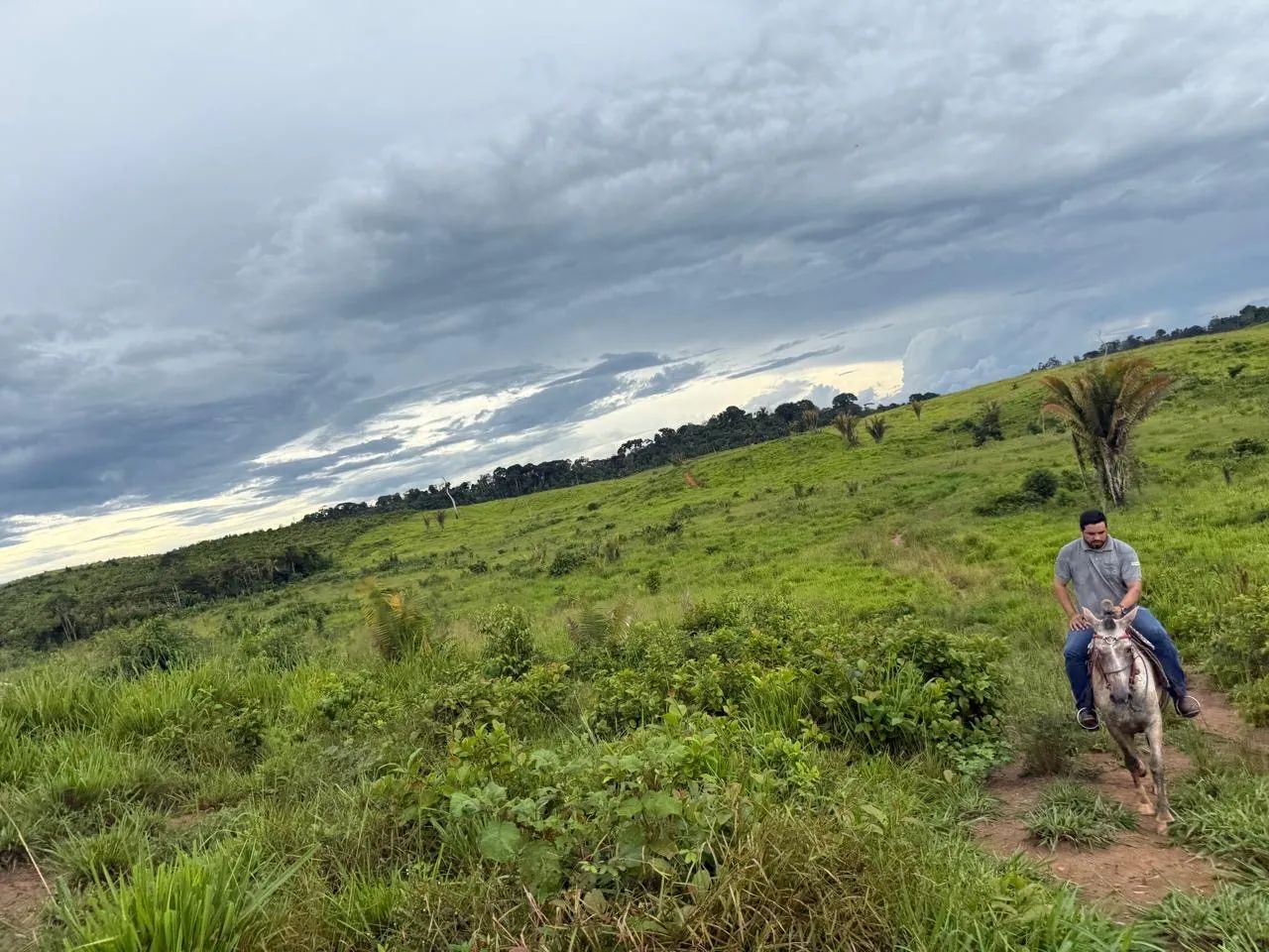 ? PROPRIEDADE RURAL À VENDA - Foto 4
