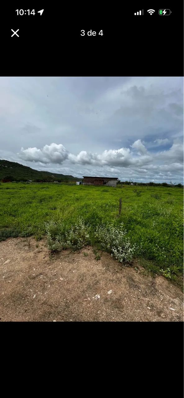 Terreno 