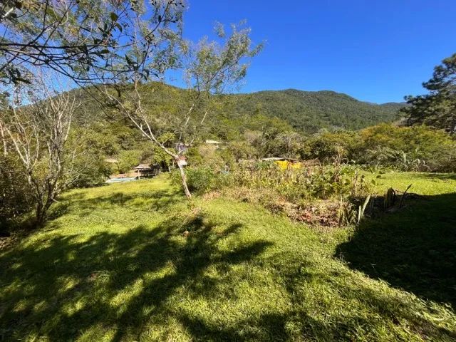 Sítio 4.500m² com Córrego, Casa, Pomar e Área Preservada Palhoça R$ 550.000 - Foto 5