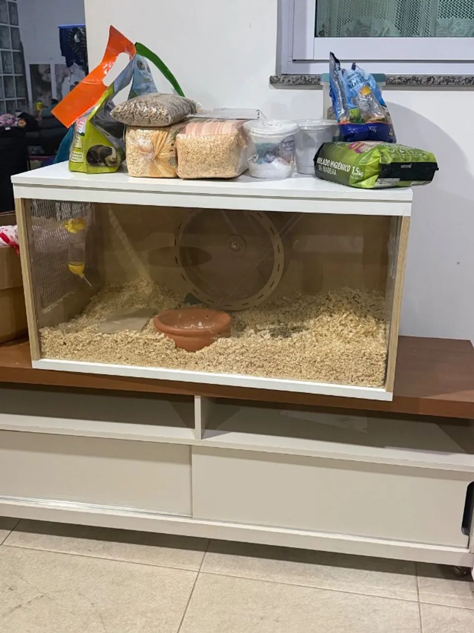 Terrario  - Foto 3