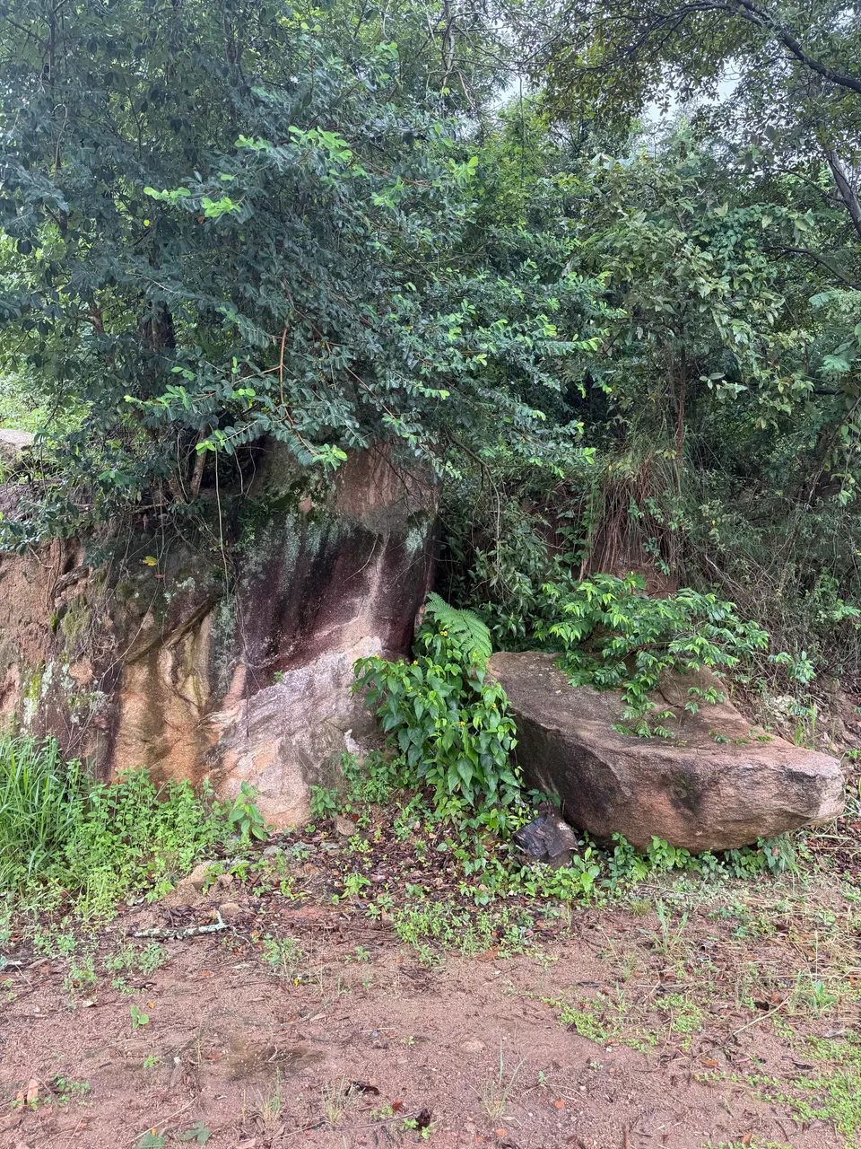 Terreno em Valinhos  - Foto 2
