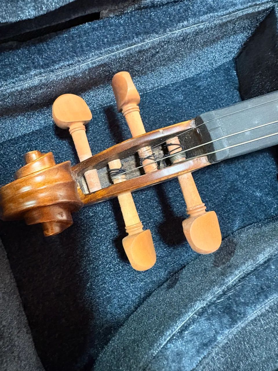 Violino - Foto 5