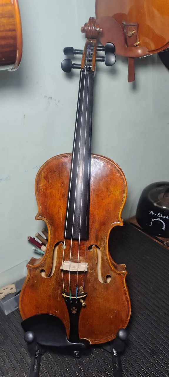 Violino