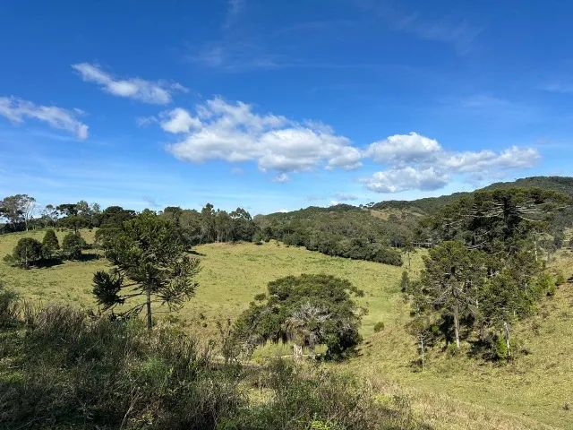 2 terrenos de 2,5 ha cada em Rancho Queimado ? a 1,5 km do Centro, documentação OK - Foto 3