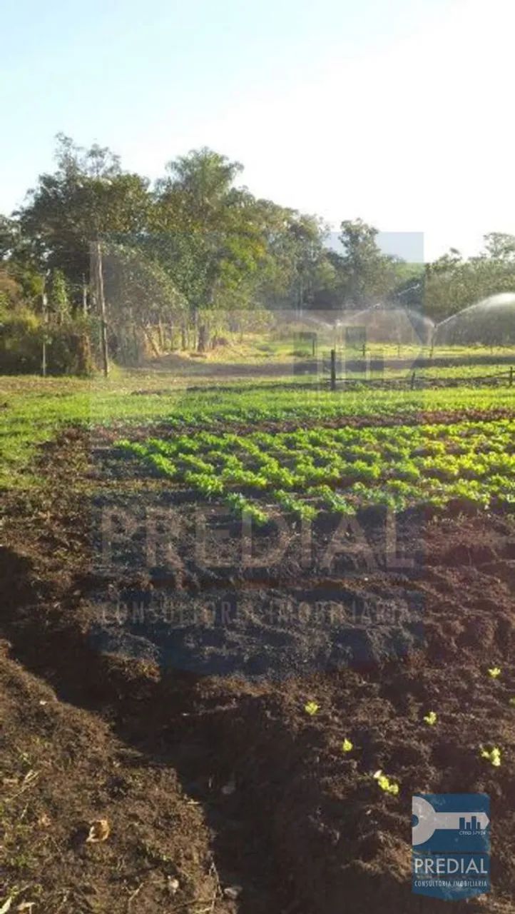 Chácara 0 quarto para Venda Centro, São Carlos - Foto 4