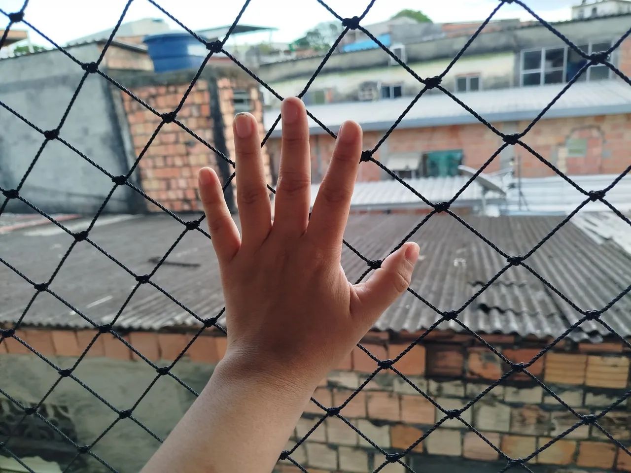 Tela de proteção  - Foto 2
