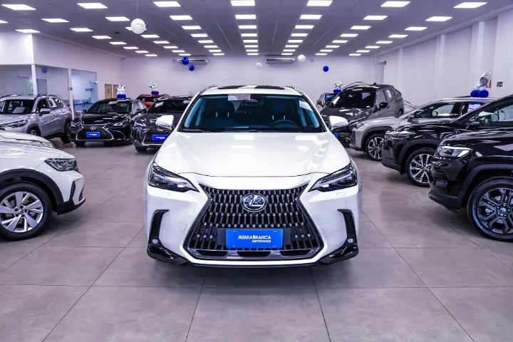 Lexus NX-350h Luxury 2.5 16V Aut. (hybrid), foto 2 de 20
