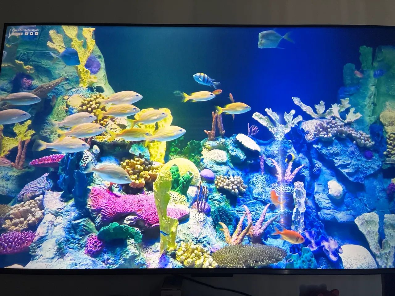 TCL 655 55 POL 4K - Foto 2